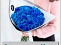 розы синие
