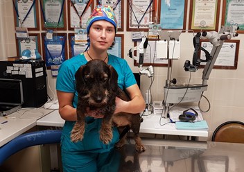 Фото компании  Центр ветеринарной офтальмологии доктора Шилкина А.Г. на  5-ой Парковой 1