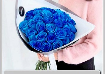 розы синие
