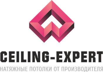 Логотип Силинг Эксперт