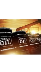 Фото компании ООО "Вудоил" 4