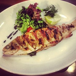 Фото компании  RIMINI, траттория 27