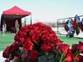 Фото компании ООО Долг 6