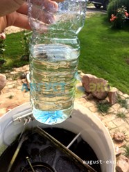 Очищенная вода от септика Август Эко без цвета и запаха