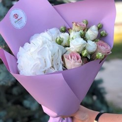 Фото компании  Diva Roza 4