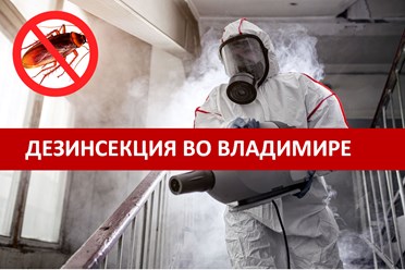 Дезинсекция помещений и квартир во Владимире