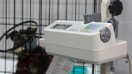 Фото компании  От носа до хвоста 3