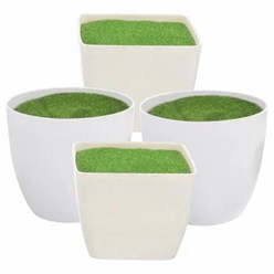 Фото компании ООО FanFlowers.shop 3