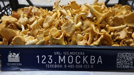 Фото компании  123.Москва 1