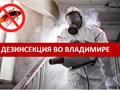 Дезинсекция помещений и квартир во Владимире