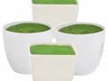 Фото компании ООО FanFlowers.shop 3