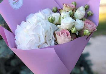 Фото компании  Diva Roza 4