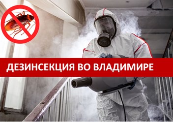 Дезинсекция помещений и квартир во Владимире