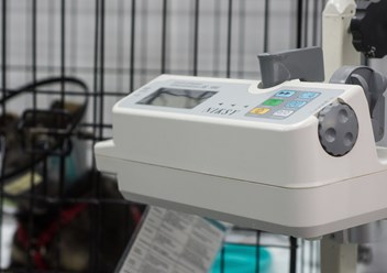 Фото компании  От носа до хвоста 3