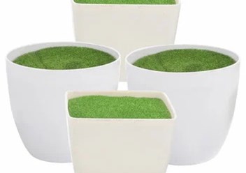 Фото компании ООО FanFlowers.shop 3