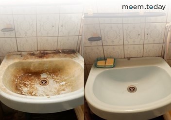 Фото компании  Moem.today 3