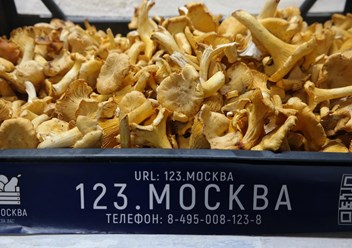 Фото компании  123.Москва 1
