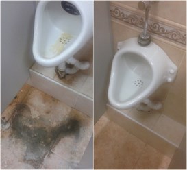 Фото компании  Клининг 24 3