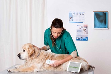 Фото компании  «РасВет» 21