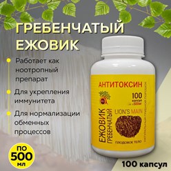 Ежовик гребенчатый в капсулах: природный ноотроп для памяти и ясности ума.