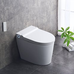 Умный унитаз-биде Brunnen Wal BW-2402 Auto open/close