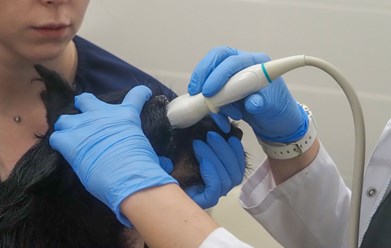 Фото компании ООО Веда 9