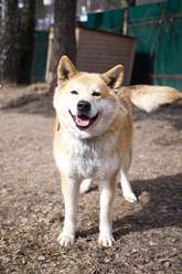 Фото компании  РОО «Экология человека» 1