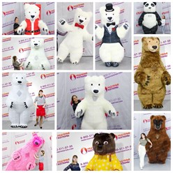 Выбери своего медведя