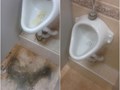 Фото компании  Клининг 24 3