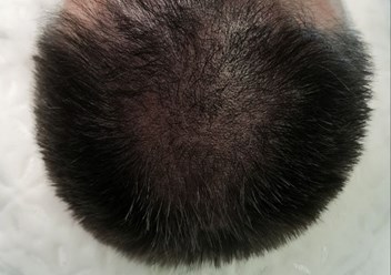 Фото компании  Cocos 6