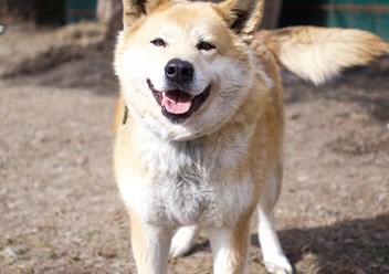 Фото компании  РОО «Экология человека» 1