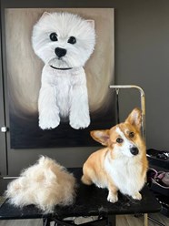 Фото компании  UrbanDog 3