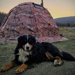 Фото компании  Altaicamp 2