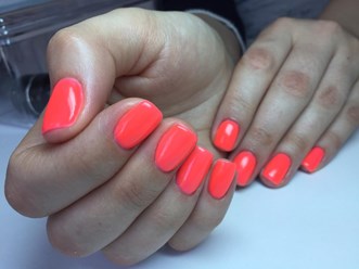 Фото компании  SASHA 33