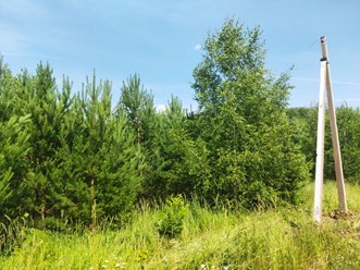 Фото компании ООО ОкаЛэнд 1