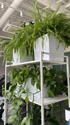 Фото компании  Botanic balance 8