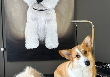 Фото компании  UrbanDog 3