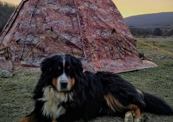 Фото компании  Altaicamp 2