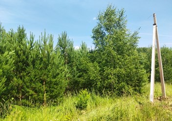 Фото компании ООО ОкаЛэнд 1