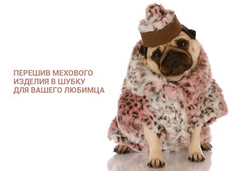 Фото компании ИП Шубный мастер 3