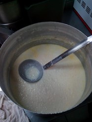 Фото компании  Перцы 42