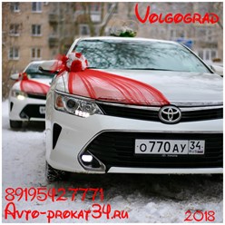 Свадебный кортеж Волгоград