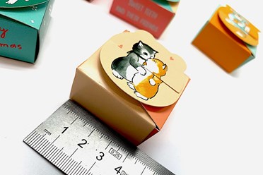 Коробочки из картона  мини, самосборные.