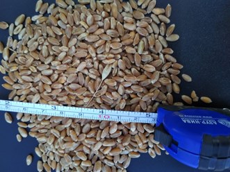 Фото компании КАТ "Азур-Нива" 1