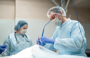 Фото компании ООО Кабинет ветеринарной медицины 52