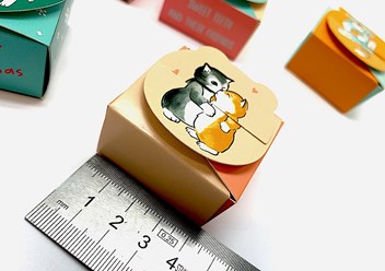 Коробочки из картона  мини, самосборные.