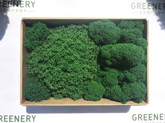 Фото компании  Greenery 10