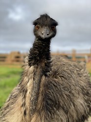 Фото компании ИП Чудесный 8