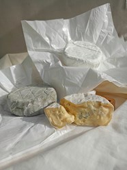 Фото компании  Земля сыра 5