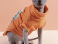 Фото компании ИП Smart animal 4